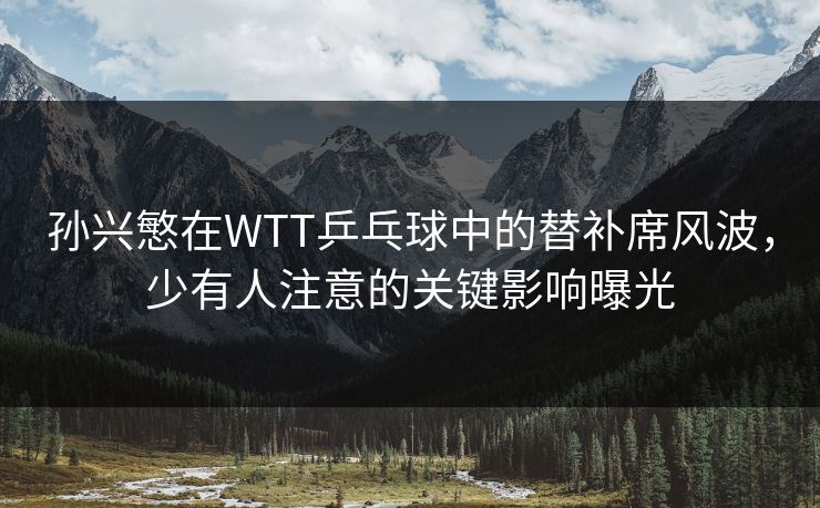 孙兴慜在WTT乒乓球中的替补席风波,少有人注意的关键影响曝光