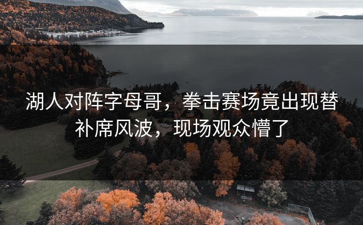 湖人对阵字母哥，拳击赛场竟出现替补席风波，现场观众懵了