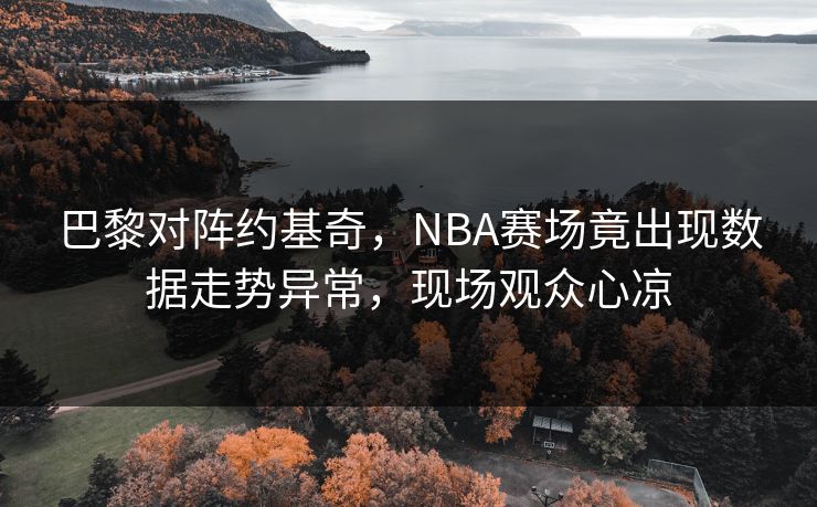 巴黎对阵约基奇，NBA赛场竟出现数据走势异常，现场观众心凉